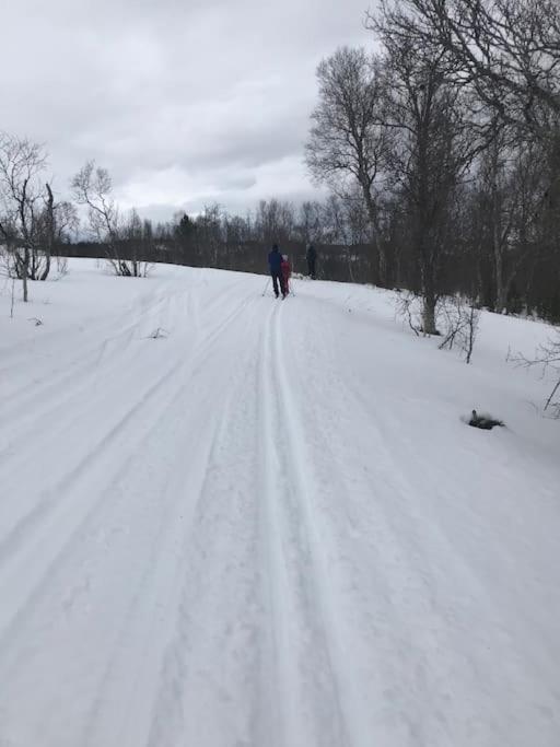 Trivelig Fritidshus Pa Arnes, Senja Straumstad Exteriör bild