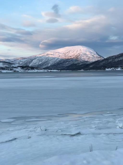 Trivelig Fritidshus Pa Arnes, Senja Straumstad Exteriör bild