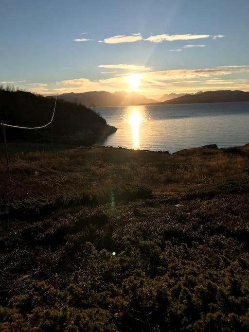 Trivelig Fritidshus Pa Arnes, Senja Straumstad Exteriör bild