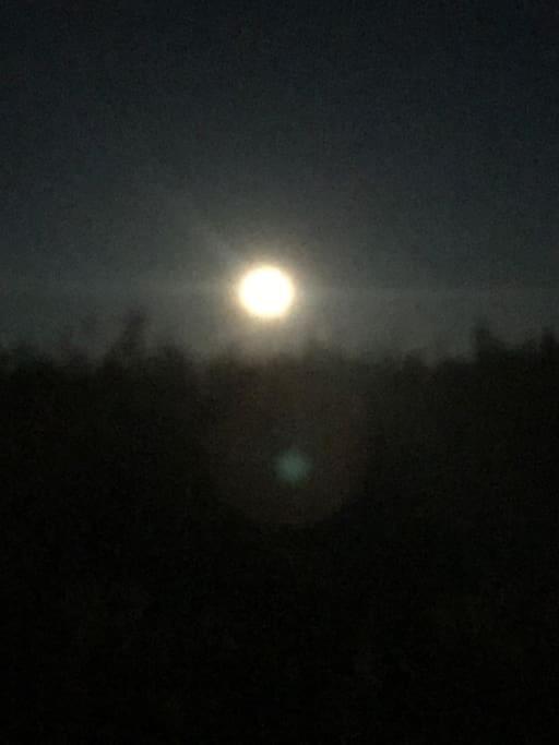 Trivelig Fritidshus Pa Arnes, Senja Straumstad Exteriör bild