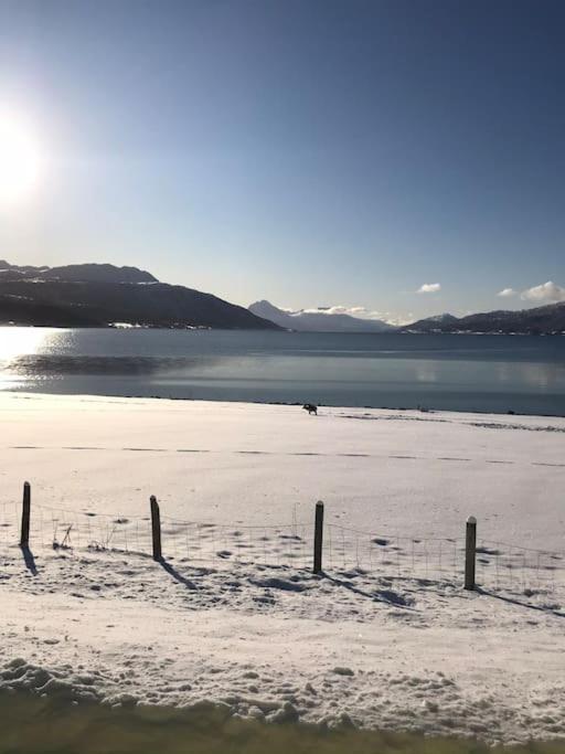 Trivelig Fritidshus Pa Arnes, Senja Straumstad Exteriör bild